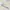 Dunlop Vintage Casual Windbreaker Pria white photo 7