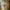 Vintage Y2K Casual shirt Pria tan photo 3