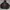 Element Vintage Y2K Hoody Pria black photo 1