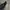 Element Vintage Y2K Hoody Pria black photo 3