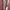 Champion Sportswear Casual Pria tan brown photo 5