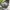 Seiko Vintage Casual Pria silver green photo 4