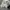 Maison Kitsuné Streetwear Luxury Sweatshirt Pria gray photo 4
