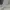 Maison Kitsuné Streetwear Luxury Sweatshirt Pria gray photo 6