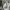 Maison Kitsuné Streetwear Luxury Sweatshirt Pria gray photo 5