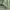 Jack Wolfskin Gorpcore Casual Puffer jacket Pria green gray photo 7
