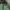 Jack Wolfskin Gorpcore Casual Puffer jacket Pria green gray photo 6
