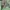 Jack Wolfskin Gorpcore Casual Puffer jacket Pria green gray photo 5