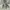 Jack Wolfskin Gorpcore Casual Puffer jacket Pria green gray photo 2