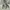 Jack Wolfskin Gorpcore Casual Puffer Jacket Pria Green Gray