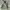 Jack Wolfskin Gorpcore Casual Puffer Jacket Pria Green Gray