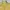 Casual Windbreaker Pria yellow photo 2