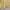 Casual Windbreaker Pria yellow photo 3
