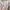 ZARA Luxury Minimalist Shirt Wanita pink cream photo 2