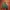 Biker Sportswear Bomber jacket Pria green photo 2