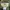 Biker Sportswear Bomber jacket Pria green photo 4