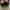 Birkenstock Streetwear Lolita Loafer Wanita black photo 4