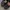 Birkenstock Streetwear Lolita Loafer Wanita black photo 3