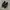 Birkenstock Streetwear Lolita Loafer Wanita black photo 1