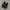 Birkenstock Streetwear Lolita Loafer Wanita Black