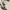 Nike Streetwear Sportswear Sneakers Pria black photo 2