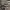 Nike Streetwear Sportswear Sneakers Pria black photo 1