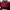 Nautica Vintage Casual Polo shirt Pria red black photo 2