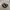 Nike Casual Batik Sneakers Wanita tan black photo 1