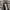 Nike Streetwear Sportswear Sneakers Pria black photo 8