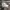 Nike Streetwear Sportswear Sneakers Pria white photo 3