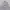 VETEMENTS Streetwear Luxury Hoody Pria gray photo 5