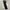 Luxury Sportswear Formal pants Pria navy photo 2