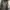 Polham Casual Sweater Pria khaki photo 1