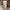 Timberland Streetwear Y2K Casual pants Pria white tan photo 2