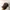 Uniqlo Casual Hat Pria brown photo 2