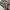 Levi's Y2K Sportswear Puffer jacket Pria multicolor photo 6