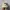 FUBU Vintage Y2K Hat Pria brown photo 1