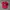 Vintage Hat Pria red photo 1