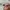 Oakley Luxury Casual Sunglass Pria multicolor silver photo 4