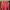 Dunlop Vintage Sportswear Windbreaker Pria red photo 1