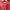 Dunlop Vintage Sportswear Windbreaker Pria red photo 4