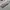 Dickies Casual Sweatshirt Pria cream photo 2