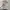 Polham Streetwear Sportswear Windbreaker Pria multicolor photo 4