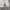 Casual Bomber jacket Wanita white photo 2