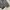 Banana Republic Streetwear Sportswear Windbreaker Pria multicolor photo 5