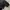Fieldcore Streetwear Sportswear Windbreaker Pria black photo 6