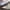 Adidas Indie Casual Sneakers Wanita white brown photo 2