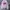KIRSH Minimalist Puffer jacket Wanita purple pink photo 1