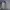 Vintage Y2K Harrington jacket Pria gray photo 3