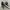 Converse Streetwear Y2K Sneakers Pria black photo 2